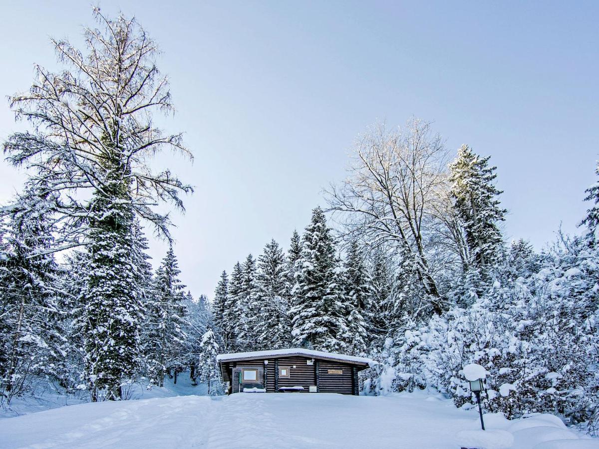 Chalet In Woergl Near Skiwelt Wilder Kaiser Salvenberg Extérieur photo